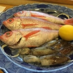 のどぐろ・べいか・筍　春の食材入荷